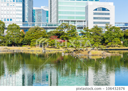深秋的東京港區秋葉的九芝離宮花園 深秋的東京港區秋葉的九芝離宮花園 106432876