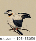翠鳥 106433059