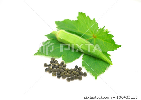 Okra's seed Okra's seed 106433115