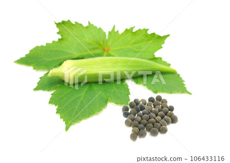 Okra's seed 106433116