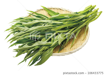 久信齋02（有通行證） 106433775