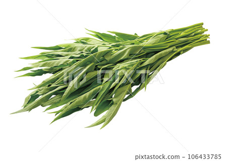 Kushinsai 09（有通行證） 106433785