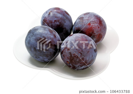 Plum_Sun 02 (with pass) Plum_Sun 02 (with pass) 106433788