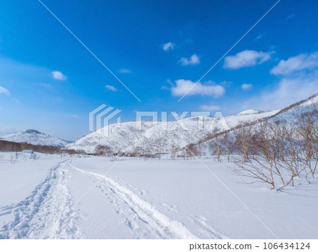 A snowy field with trails and footprints (Hokkaido, Kutchan-cho, around the Iwaonupuri trailhead) 106434124