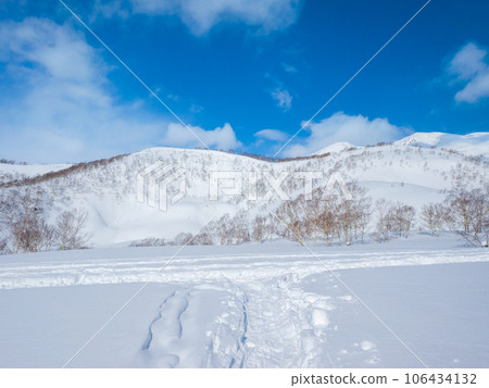 T-junction with skid marks and footprints left in the snow field (Hokkaido, Kutchan Town, around Iwaonupuri) 106434132