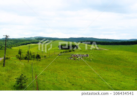 北海道900草原風光 106434541