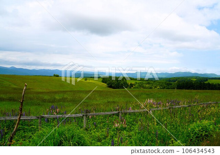 Landscape of Ohira Plateau, Hokkaido Landscape of Ohira Plateau, Hokkaido 106434543