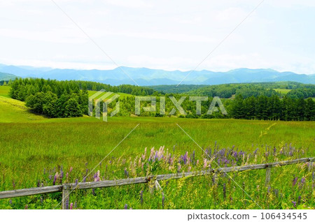 Landscape of Ohira Plateau, Hokkaido 106434545