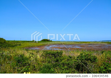 Cape Kimuaneppu in fine weather, Hokkaido 106434546