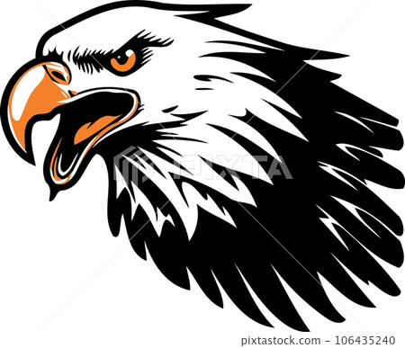 eagle bird head black white and yellow 106435240