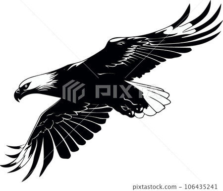 eagle bird flying black white eagle bird flying black white 106435241