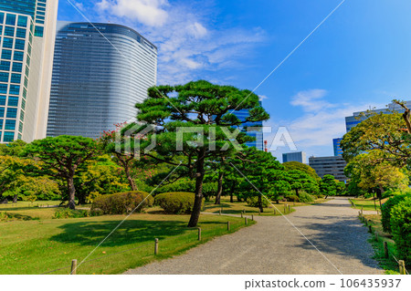 從東京中央區濱離宮恩賜庭園看汐留的摩天大樓 106435937