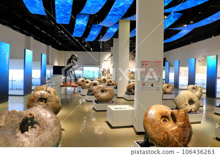 Hokkaido Travelogue Mikasa City Museum Ammonite Exhibition 106436263