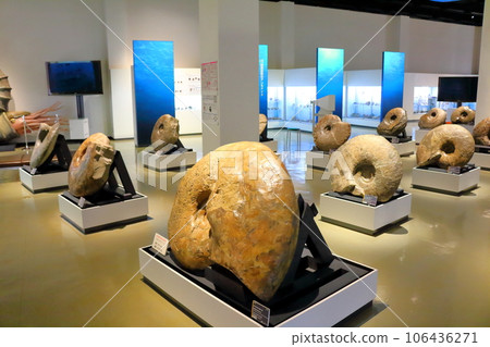 北海道遊記 三笠市博物館菊石展 106436271