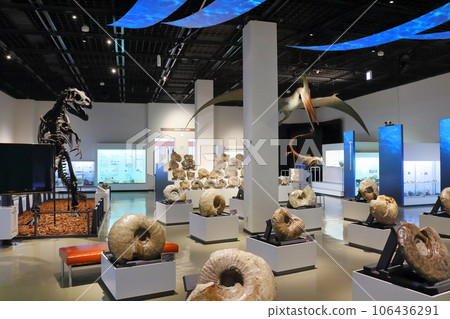 北海道遊記 三笠市博物館菊石展 106436291