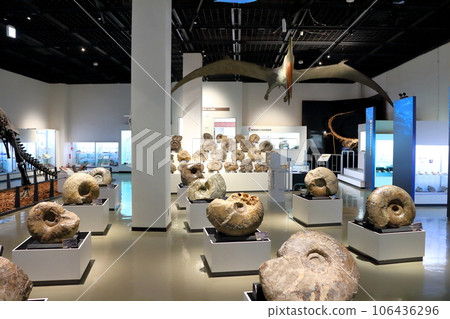 北海道遊記 三笠市博物館菊石展 106436296