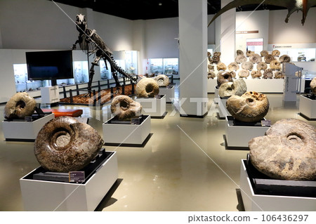 北海道遊記 三笠市博物館菊石展 106436297