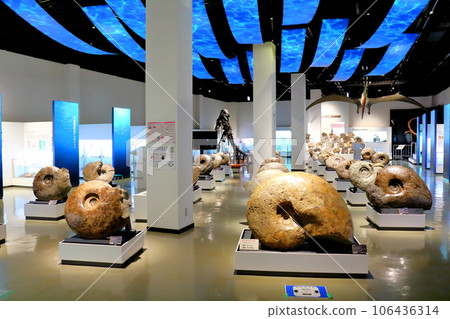 Hokkaido Travelogue Mikasa City Museum Ammonite Exhibition Hokkaido Travelogue Mikasa City Museum Ammonite Exhibition 106436314