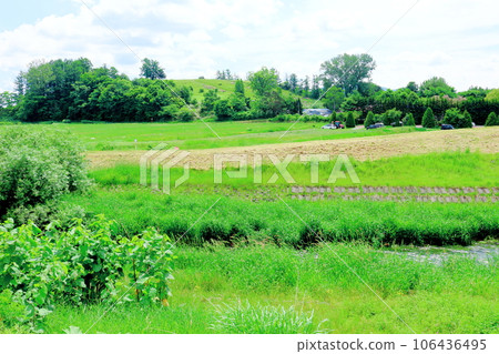北海道遊記 六月晨園上野農場 北海道遊記 六月晨園上野農場 106436495