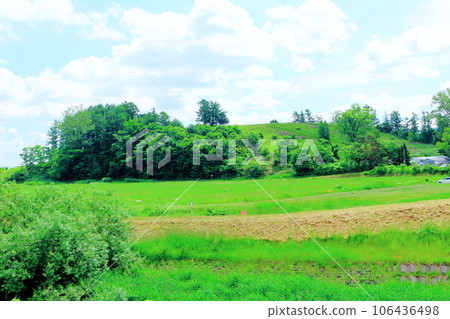 Hokkaido Travelogue June Ueno Farm Morning Garden Hokkaido Travelogue June Ueno Farm Morning Garden 106436498