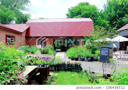 Hokkaido Travelogue June Ueno Farm Morning Garden Hokkaido Travelogue June Ueno Farm Morning Garden 106436512