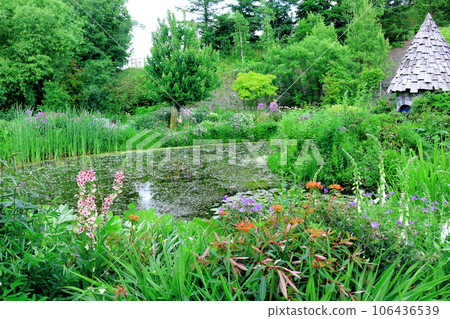 Hokkaido Travelogue June Ueno Farm Morning Garden 106436539