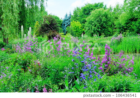 Hokkaido Travelogue June Ueno Farm Morning Garden Hokkaido Travelogue June Ueno Farm Morning Garden 106436541