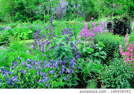 Hokkaido Travelogue June Ueno Farm Morning Garden 106436543