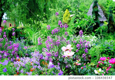 Hokkaido Travelogue June Ueno Farm Morning Garden 106436547