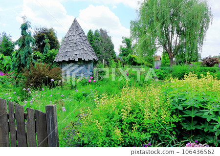 Hokkaido Travelogue June Ueno Farm Morning Garden Hokkaido Travelogue June Ueno Farm Morning Garden 106436562