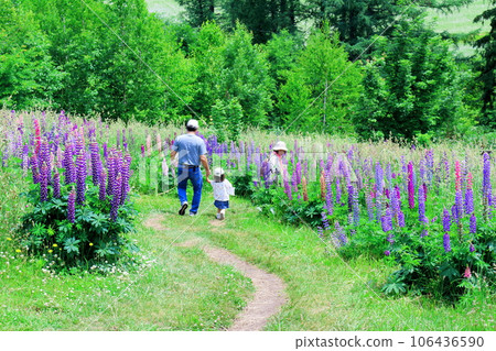 Hokkaido Travelogue June Ueno Farm Morning Garden Hokkaido Travelogue June Ueno Farm Morning Garden 106436590