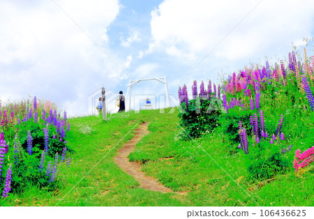 Hokkaido Travelogue June Ueno Farm Morning Garden Hokkaido Travelogue June Ueno Farm Morning Garden 106436625
