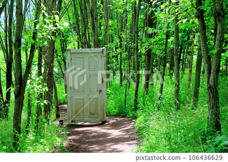 北海道遊記 六月晨園上野農場 北海道遊記 六月晨園上野農場 106436629