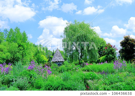 Hokkaido Travelogue June Ueno Farm Morning Garden 106436638