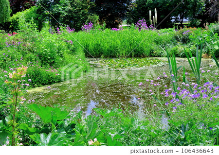 Hokkaido Travelogue June Ueno Farm Morning Garden 106436643