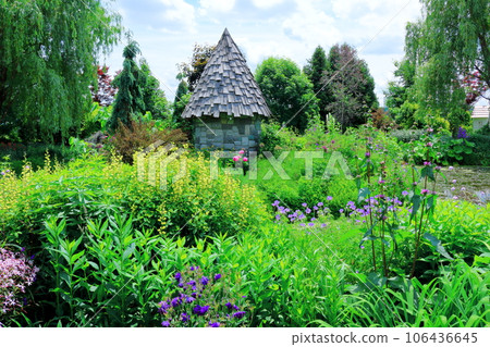 Hokkaido Travelogue June Ueno Farm Morning Garden 106436645
