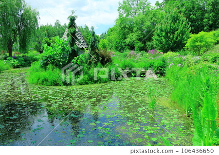 北海道遊記 六月晨園上野農場 北海道遊記 六月晨園上野農場 106436650