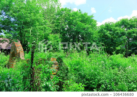 Hokkaido Travelogue June Ueno Farm Morning Garden 106436680