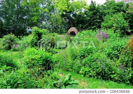 北海道遊記 六月晨園上野農場 北海道遊記 六月晨園上野農場 106436686