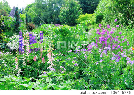 Hokkaido Travelogue Ueno Farm in June Afternoon Garden 106436776