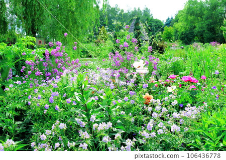 Hokkaido Travelogue Ueno Farm in June Afternoon Garden Hokkaido Travelogue Ueno Farm in June Afternoon Garden 106436778