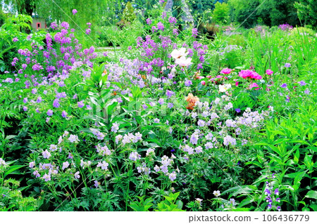 北海道遊記 六月上野農場 午後花園 106436779