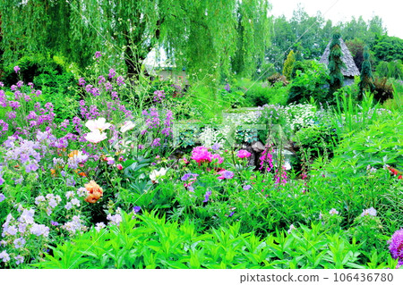 北海道遊記 六月上野農場 午後花園 北海道遊記 六月上野農場 午後花園 106436780