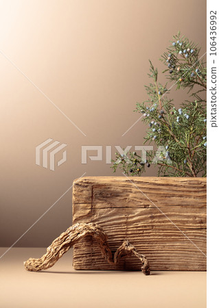 Abstract composition of old wooden plank and juniper branch. 106436992