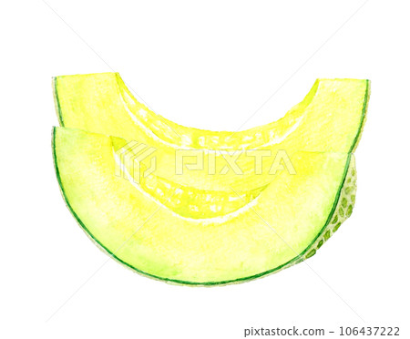 Hand-drawn watercolor illustration of cut melon fruit 106437222