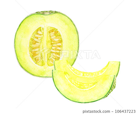 Hand-drawn watercolor illustration of cut melon fruit 106437223