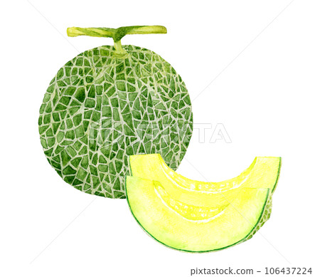 Hand-drawn watercolor illustration of cut melon fruit 106437224