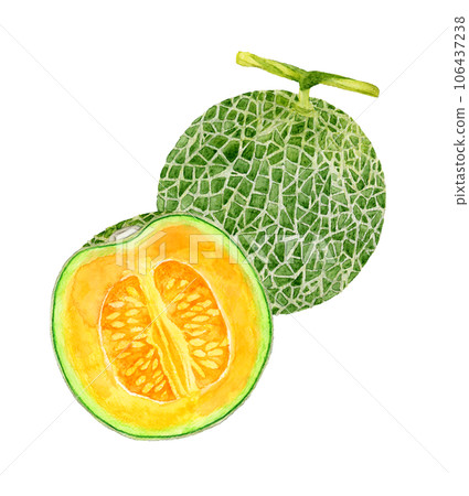 紅肉瓜切半果手繪水彩插畫素材 106437238