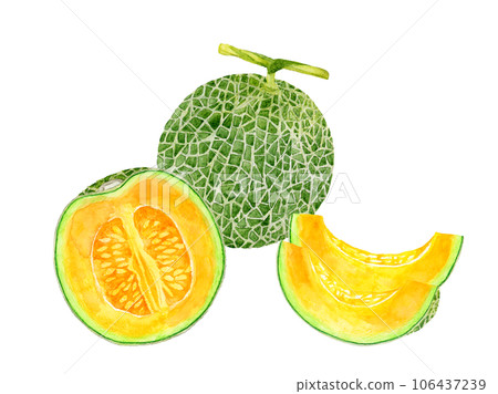 Cut red meat melon fruit hand-painted watercolor illustration material Cut red meat melon fruit hand-painted watercolor illustration material 106437239