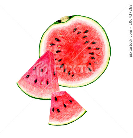 Cut watermelon Summer fruit hand-painted watercolor illustration material 106437268